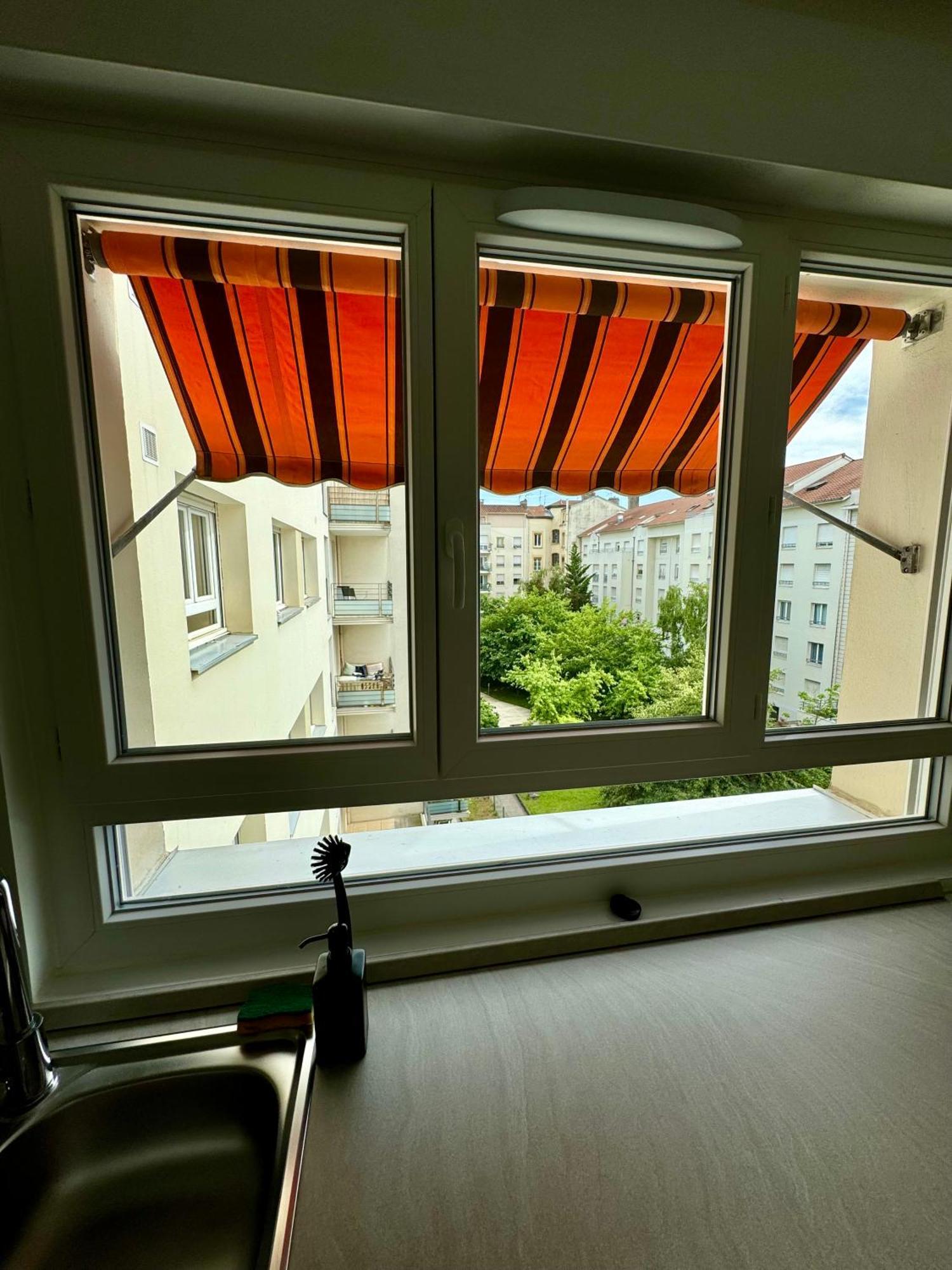 Le Lac - Appartement 15' Partdieu Et Bellecour Lyon Eksteriør billede